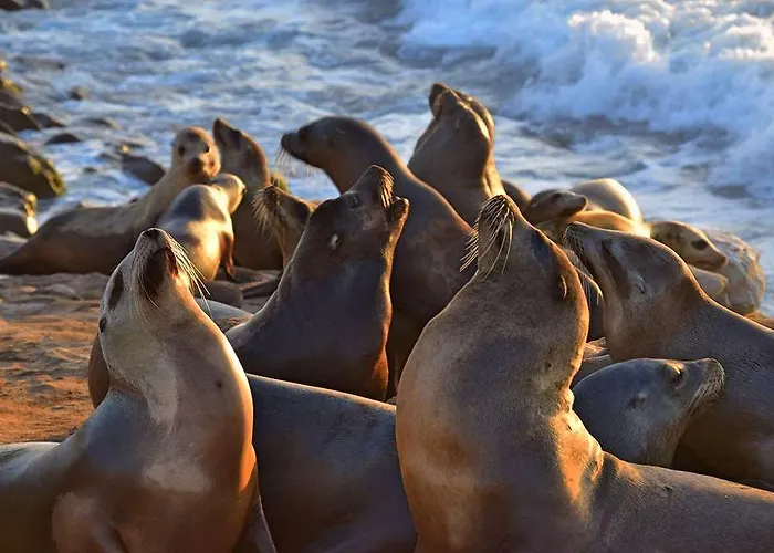 Ξενοδοχείο Og Antibes Les Strelitzias *