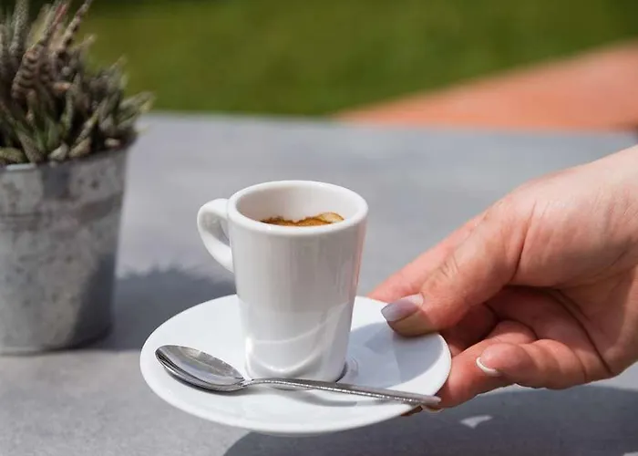 Og Antibes Les Strelitzias Ξενοδοχείο