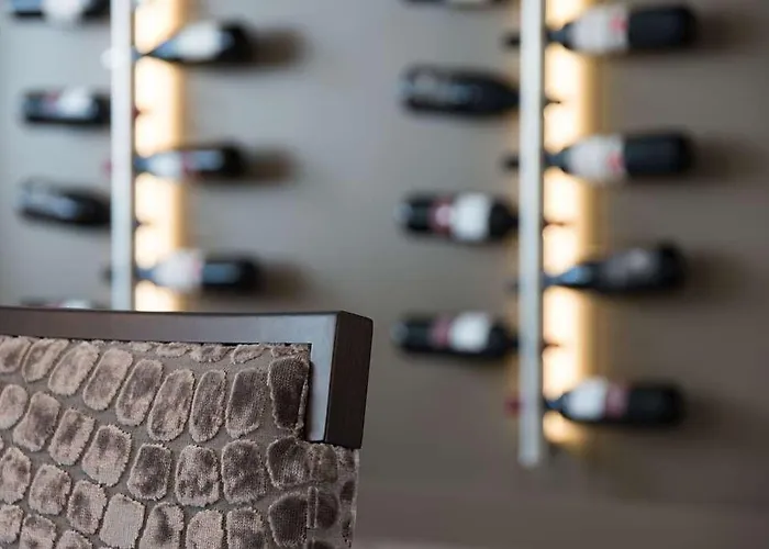 Og Antibes Les Strelitzias Juan-les-Pins