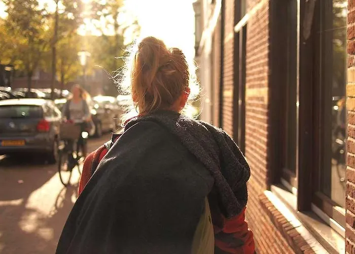 Og Antibes Les Strelitzias