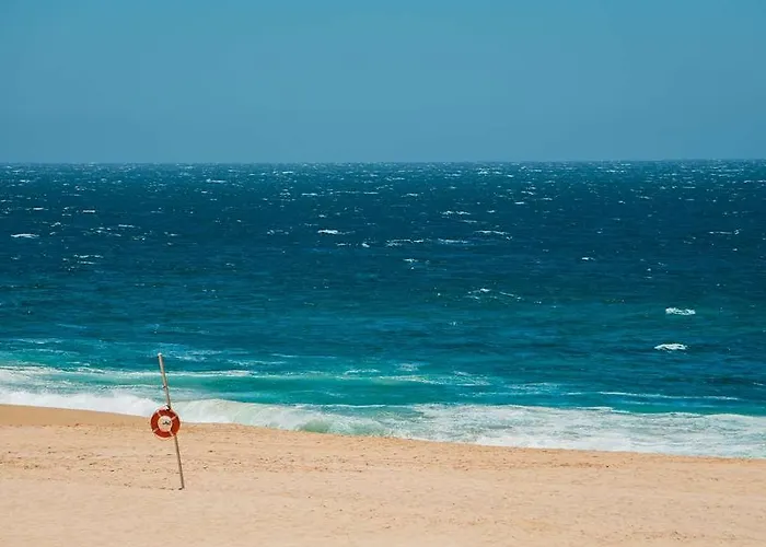 Og Antibes Les Strelitzias *