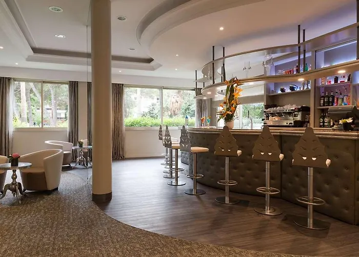 Og Antibes Les Strelitzias Juan-les-Pins